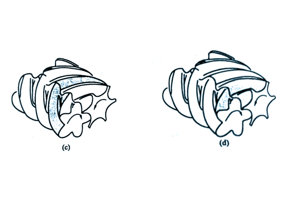 Working principle diagram of twin-screw air compressor