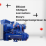 Efficient, Intelligent, Low-Carbon: Elang’s Centrifugal Compressor Solutions Efficient, Intelligent, Low-Carbon: Elang’s Centrifugal Compressor Solutions